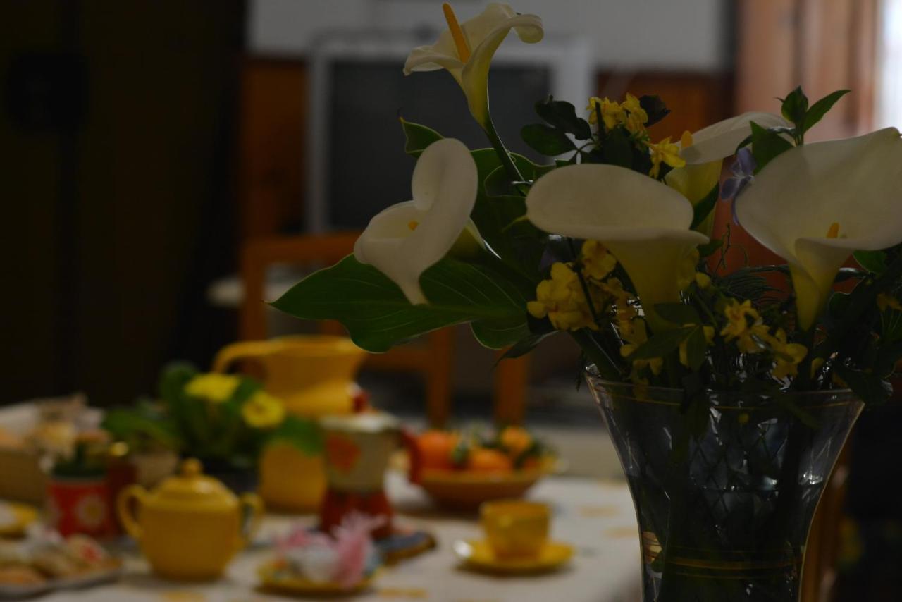 Casa Vacanze I Girasoli Iglesias Dış mekan fotoğraf